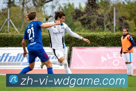 问鼎娱乐APP 体育赛事宣传图